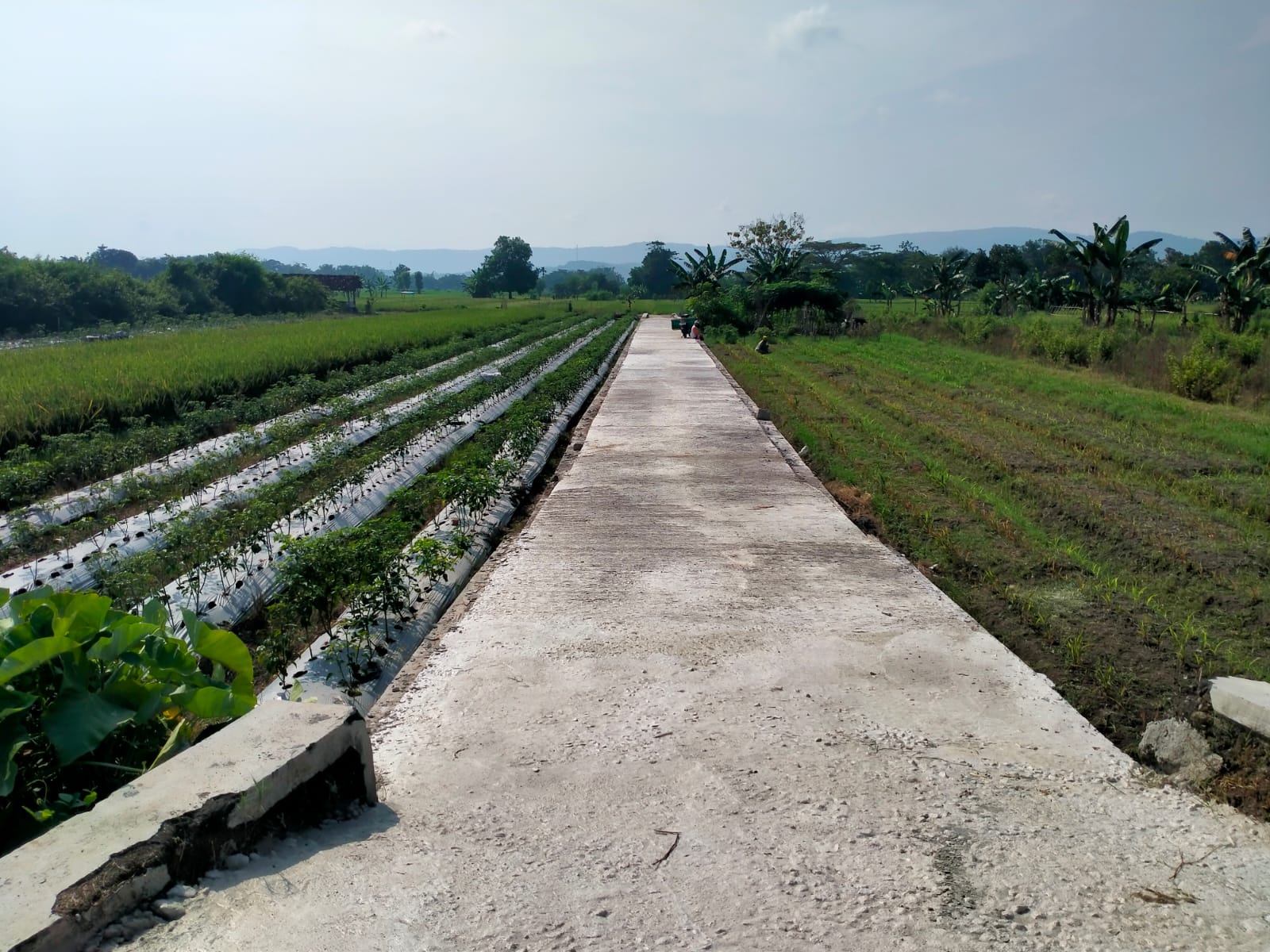 Foto Sesudah